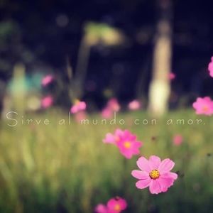 Meet your Posher, Evelia